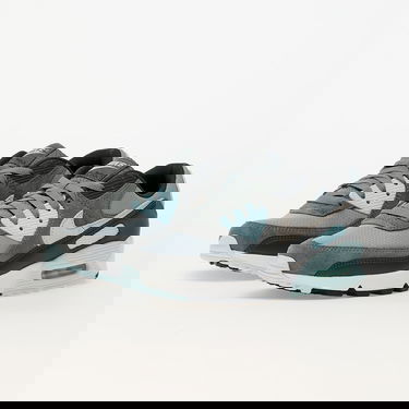 Tenisky a topánky Nike Air Max 90 Light Šedá | DM0029-009, 5