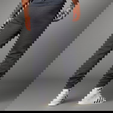 Tepláky adidas Performance FC Bayern Essentials Trefoil Pants Šedá | IL1033, 3