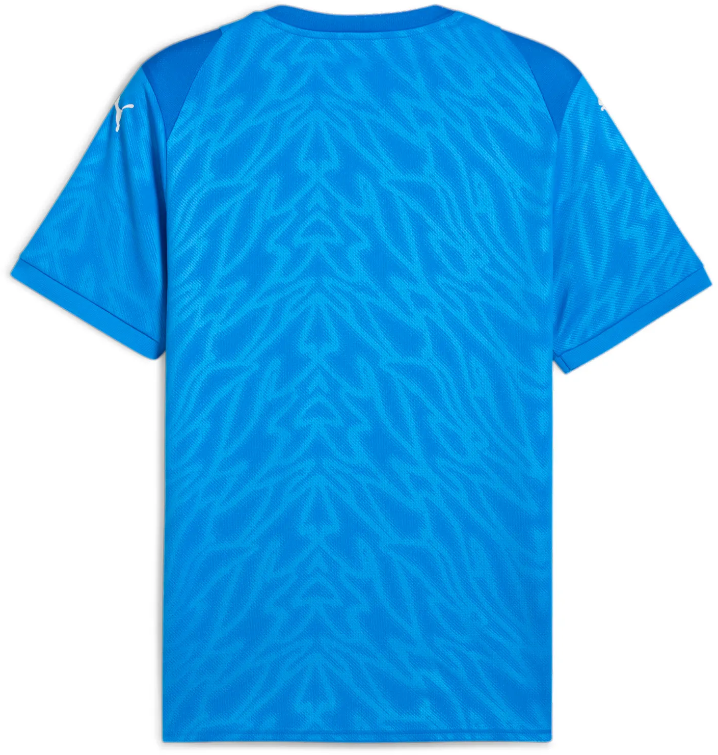 Dres Puma teamCUP Short Sleeve Patterned Sports Jersey Modrá | 706272-02, 1