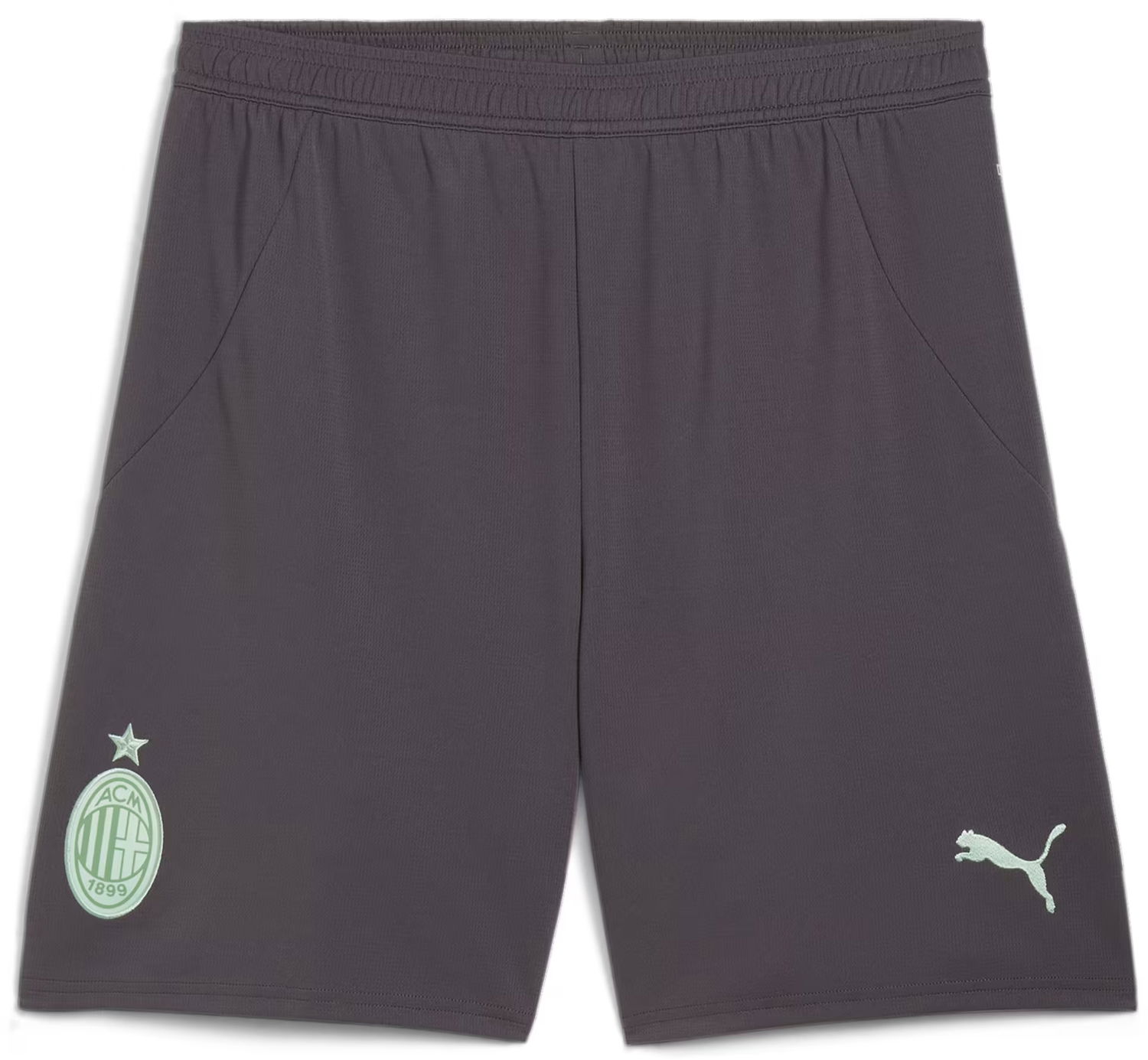 Šortky Puma AC Milan Shorts Replica 2024/25 Šedá | 775130-03, 0