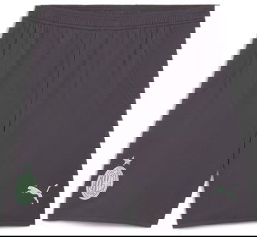 Šortky Puma AC Milan Shorts Replica 2024/25 Šedá | 775130-03, 0