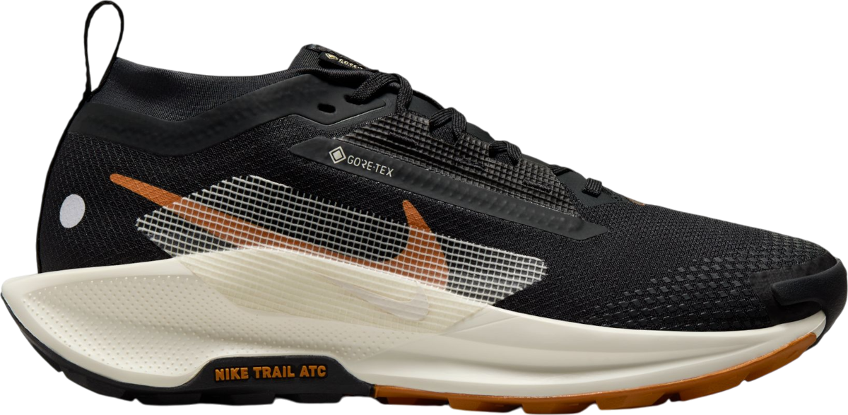 Tenisky a topánky Nike Pegasus Trail 5 GORE-TEX Čierna | fq0912-005, 0