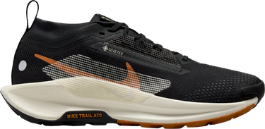 Tenisky a topánky Nike Pegasus Trail 5 GORE-TEX Čierna | fq0912-005, 0