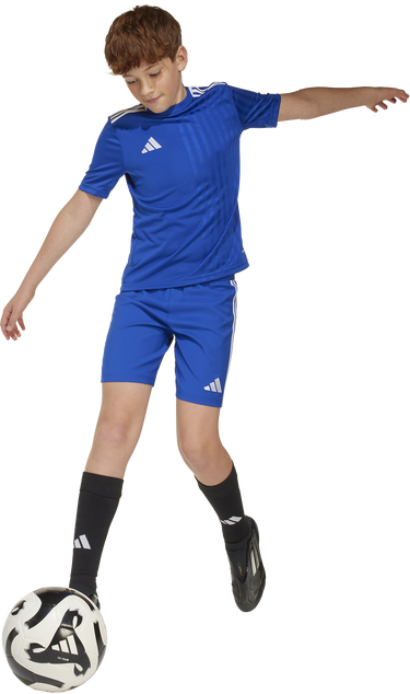 Tričko adidas Originals Adidas Campeon 25 Jersey Modrá | jj4171, 7
