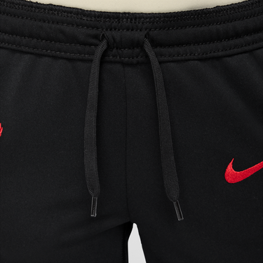 Tepláky Nike Liverpool FC Academy Pro Special Edition Dri-FIT Knitted Football Pants Čierna | HJ3732-010, 2