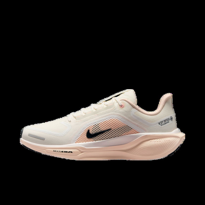 Tenisky a topánky Nike Pegasus 41 GORE-TEX Béžová | fq1357-100