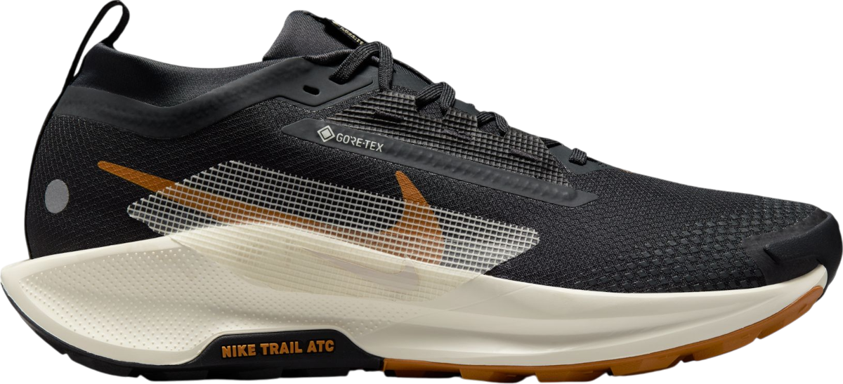 Tenisky a topánky Nike Pegasus Trail 5 GORE-TEX Čierna | fq0908-007, 0