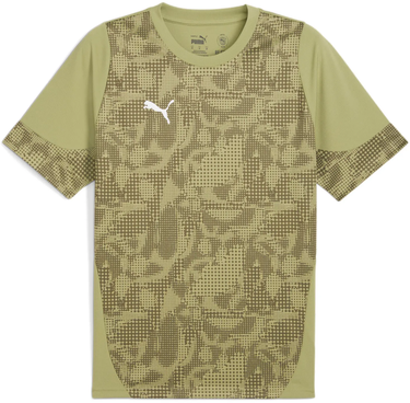 Dres Puma teamCUP Graphic T-Shirt Zelené | 659167-40, 0