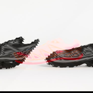 Tenisky a topánky Salomon XT-6 Skyline Hnedá | L47876800, 0
