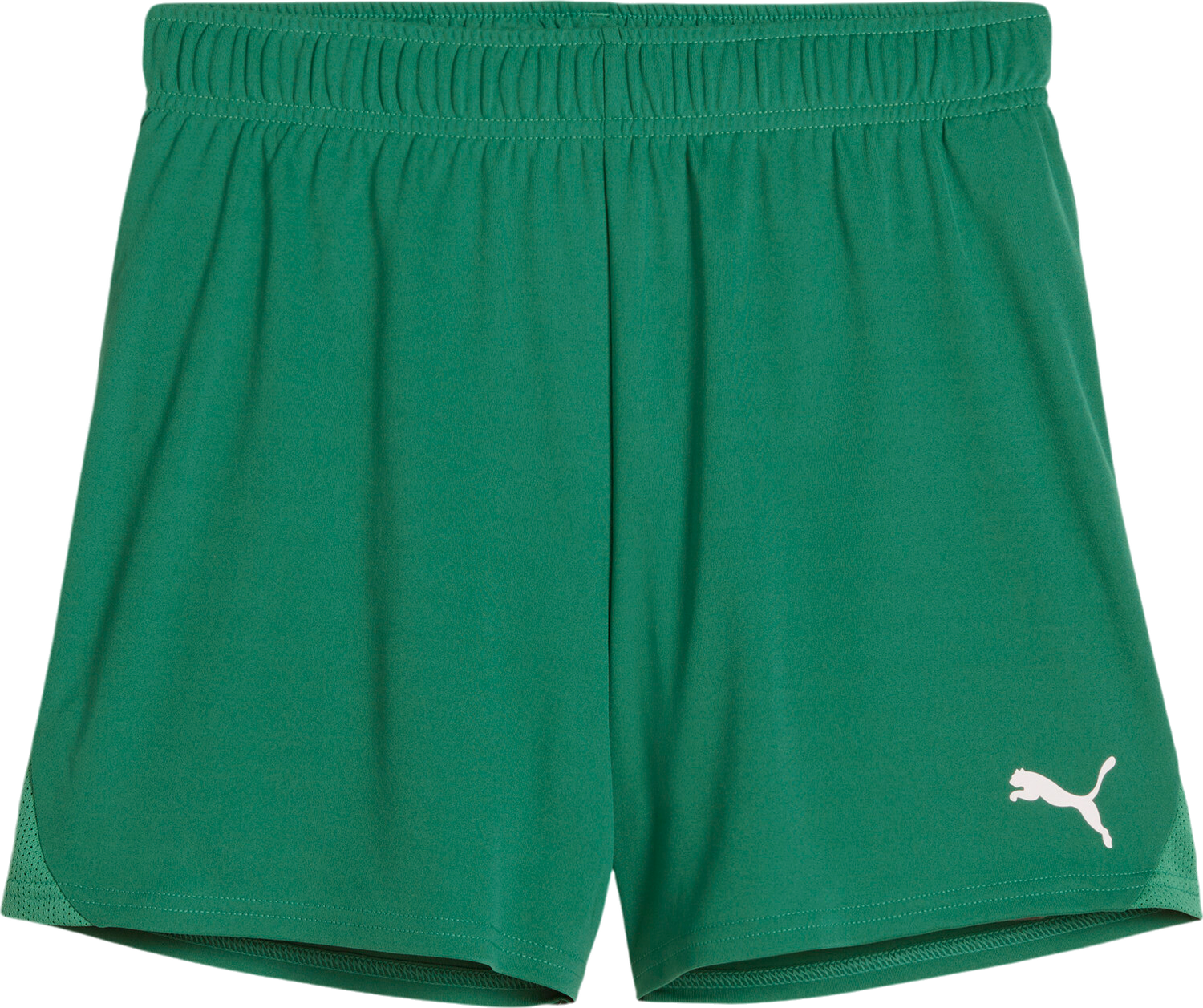 Šortky Puma Puma teamGOAL Handball Shorts Zelené | 706019-05, 0