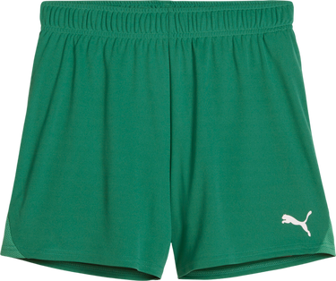 Šortky Puma Puma teamGOAL Handball Shorts Zelené | 706019-05, 0