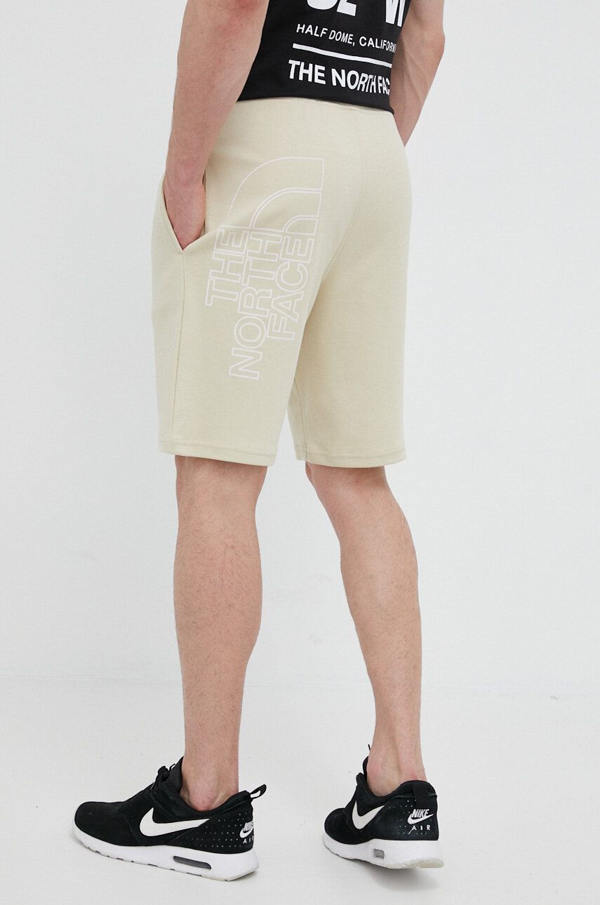 Šortky The North Face Graphic Shorts Béžová | NF0A3S4F3X41, 0
