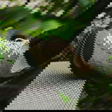 Tenisky a topánky Keen Jasper Zionic Zelené | 10058534KEN01, 6