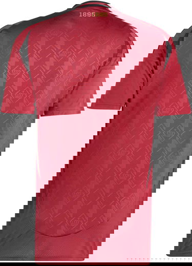 Dres adidas Originals RBFA H JSY 2024 Vínová | iq0769, 2