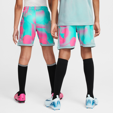Šortky Nike Dri-FIT Academy+ Shorts Rôznofarebný | HJ3827-646, 1
