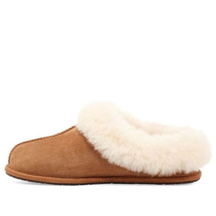 Tenisky a topánky UGG Moraene Slippers Hnedá | 1118981-CHE