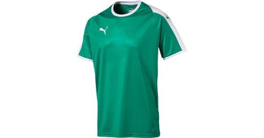 Dres Puma Liga Jersey Zelené | 703417-005, 1