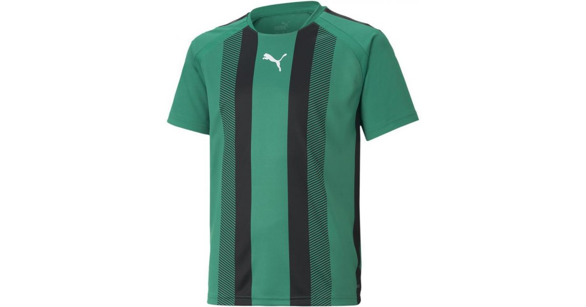 Dres Puma Puma teamLIGA Striped Jersey Zelené | 704927-005, 1