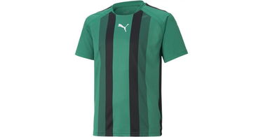 Dres Puma Puma teamLIGA Striped Jersey Zelené | 704927-005, 1
