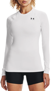 HeatGear Compression Long Sleeve