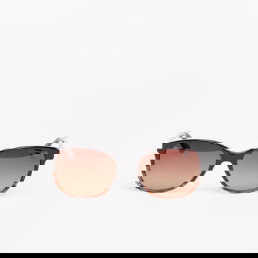 Slnečné okuliare Horsefeathers Sunglasses Gloss Hnedá | AW060E, 0