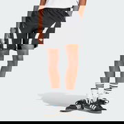 Adicolor Teamgeist Shorts