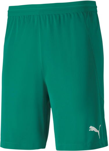 Šortky Puma teamFINAL 21 Knit Shorts Zelené | 70425705, 0