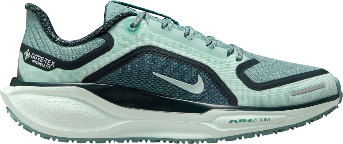 Tenisky a topánky Nike Pegasus 41 GORE-TEX Tyrkysová | fq1357-003, 0