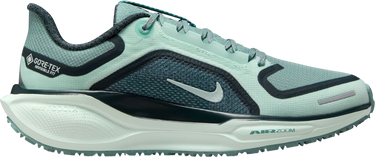Tenisky a topánky Nike Pegasus 41 GORE-TEX Tyrkysová | fq1357-003, 0