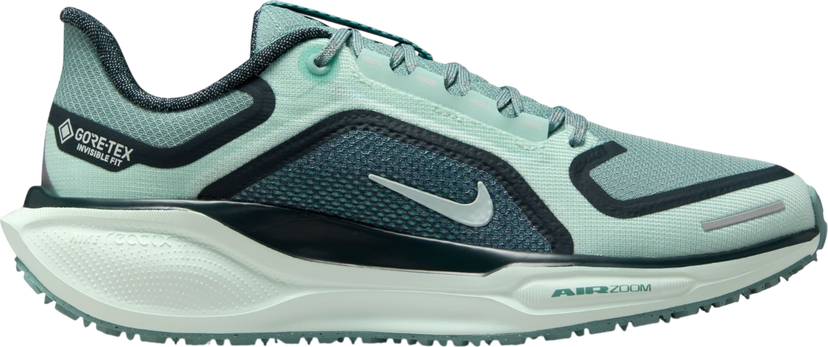 Tenisky a topánky Nike Pegasus 41 GORE-TEX Tyrkysová | fq1357-003