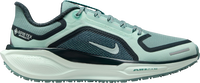 Pegasus 41 GORE-TEX