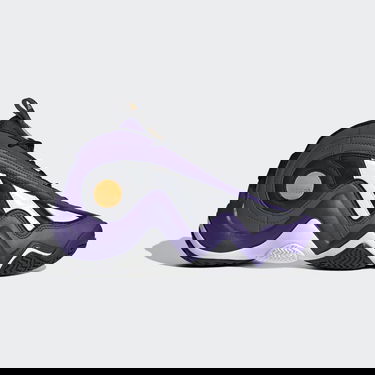 Tenisky a topánky adidas Originals Crazy 97 "Regal Purple" Fialová | GY4520, 1
