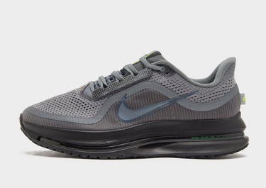 Tenisky a topánky Nike Pegasus Premium Šedá | HQ2592-012, 0