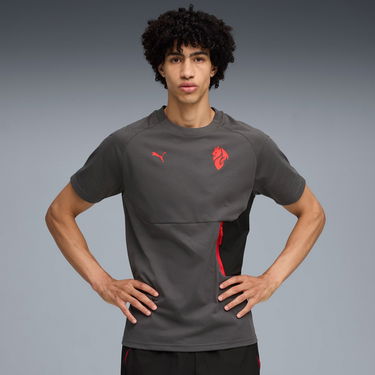 Tričko Puma AC Milan TECH Pocket T-Shirt Šedá | 782393-15, 2