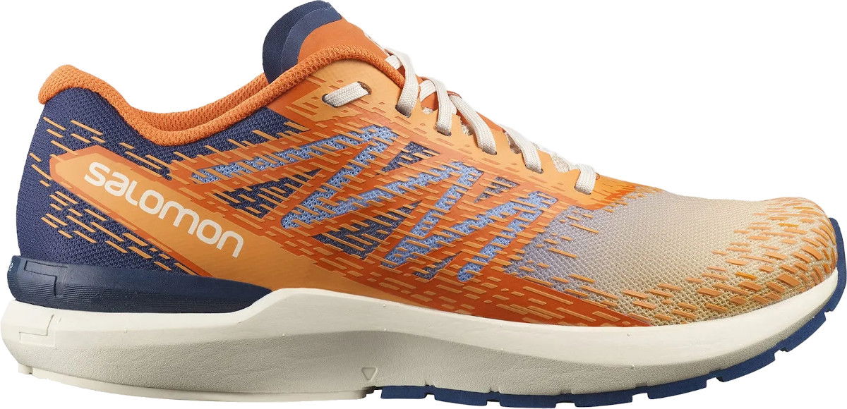Tenisky a topánky Salomon Salomon Sonic 5 Balance Oranžová | l41710200, 0