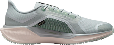 Tenisky a topánky Nike Pegasus 41 GORE-TEX Rôznofarebný | fq1356-007, 3