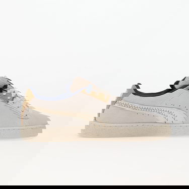 Tenisky a topánky Puma Suede Expedition Vapor Gray Béžová | 395783-02, 0