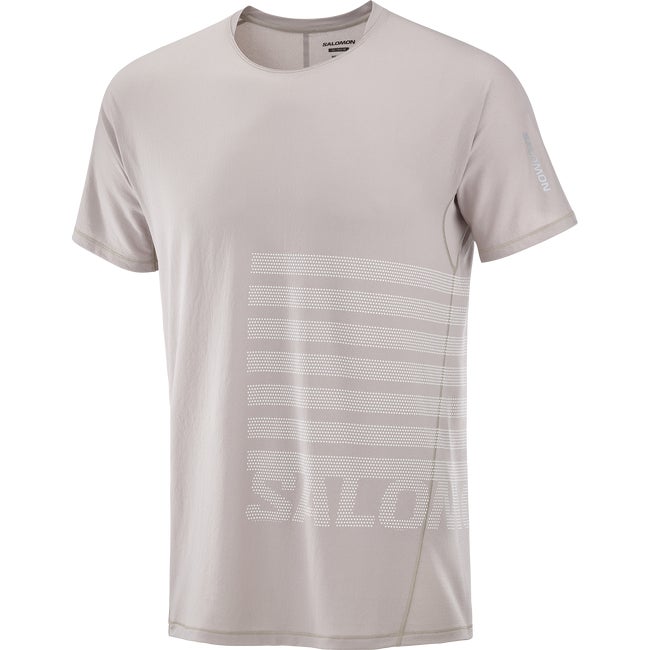 Tričko Salomon Aero Graphic T-Shirt Šedá | LC2694500, 1