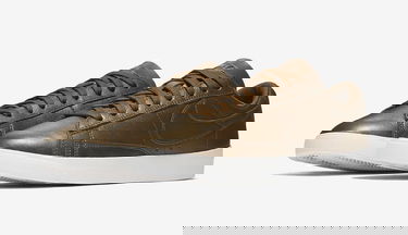 Tenisky a topánky Nike Blazer Low LE Metalická | AA3961-900, 2