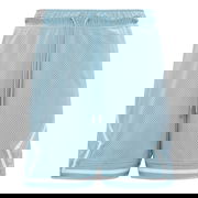 Air Jordan Breathable Mesh Shorts