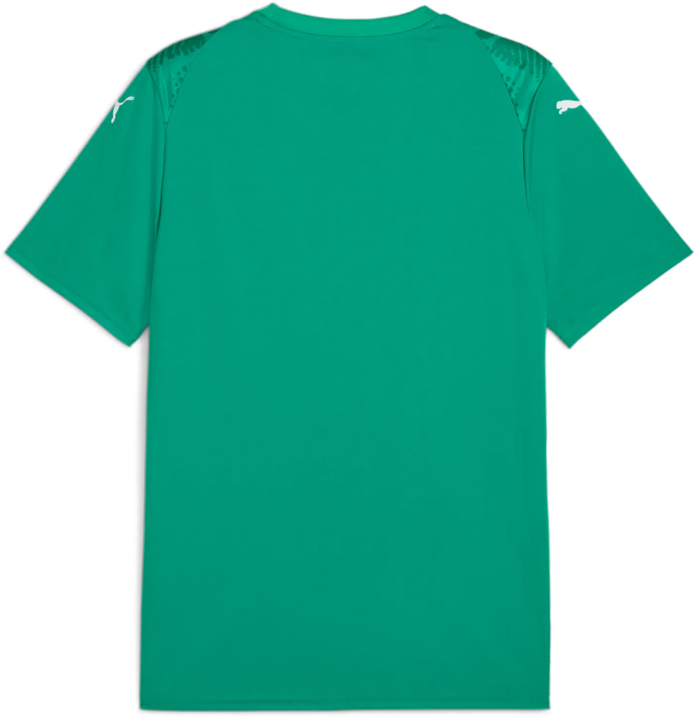 Dres Puma Puma teamULTIMATE Jersey Zelené | 706280-05, 1