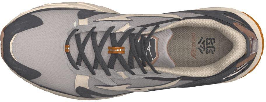 Tenisky a topánky Mizuno Wave Rider 10 Šedá | D1GA226601, 1