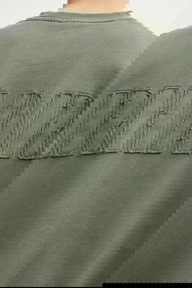 Mikina Carhartt WIP RGGD Appliqué Sweatshirt Zelené | I035636.2ZXGD, 3