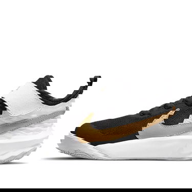 Tenisky a topánky Nike Nike Team Hustle D10 Čierna | CW6736-002, 0