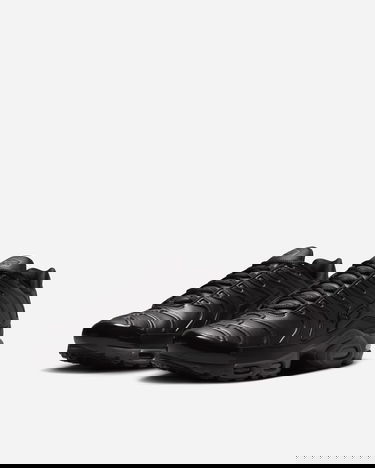 Tenisky a topánky Nike Air Max Plus PRM "Black Tea" Čierna | HJ4519-200, 2