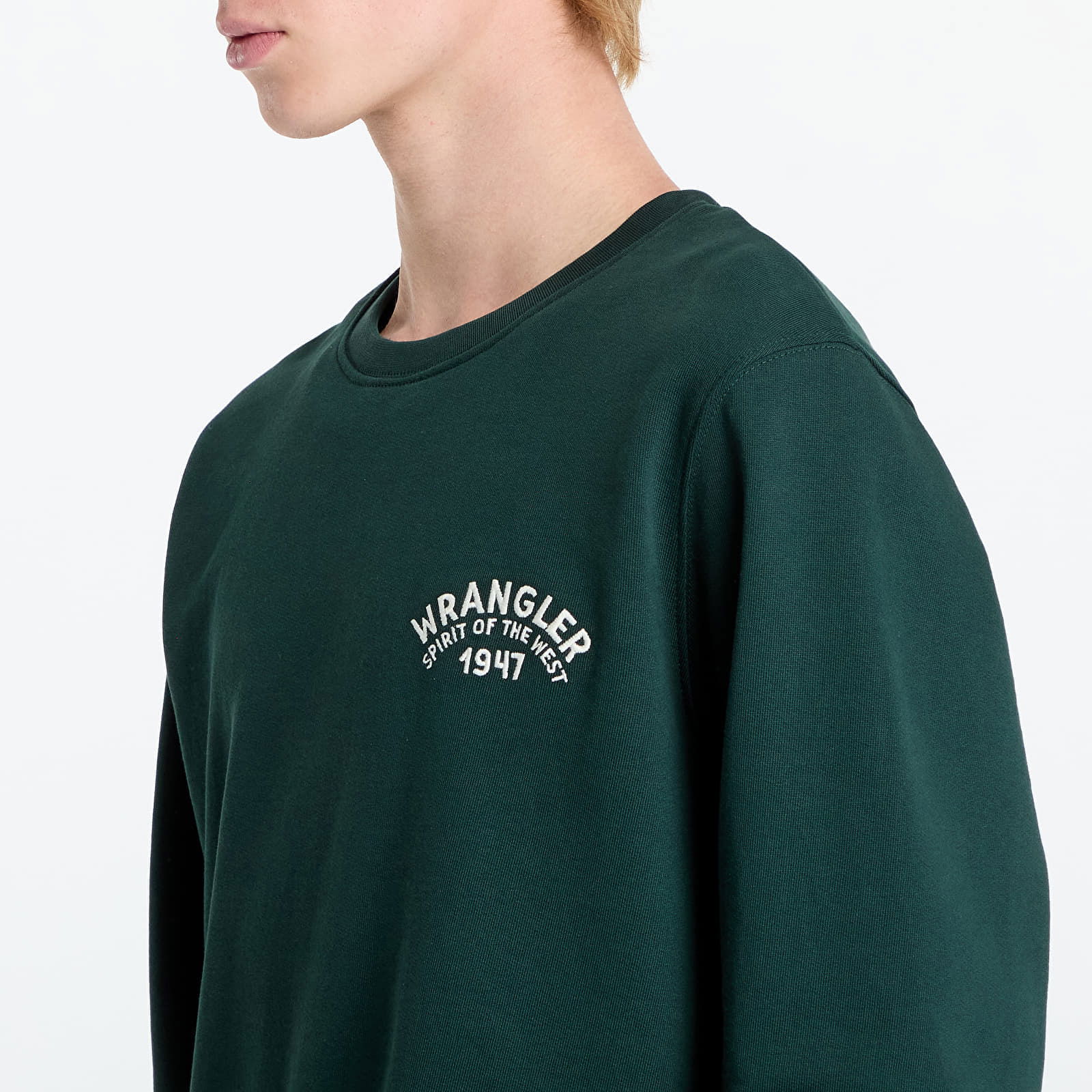 Crewneck Sweatshirt Scarab