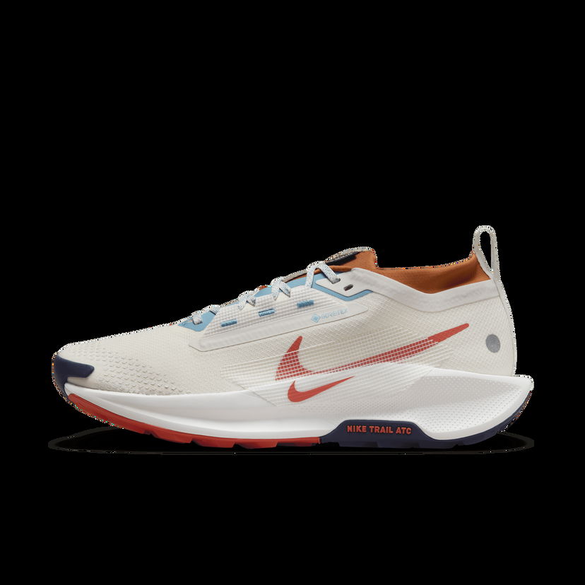 Tenisky a topánky Nike Pegasus Trail 5 GORE-TEX Šedá | FQ0908-003