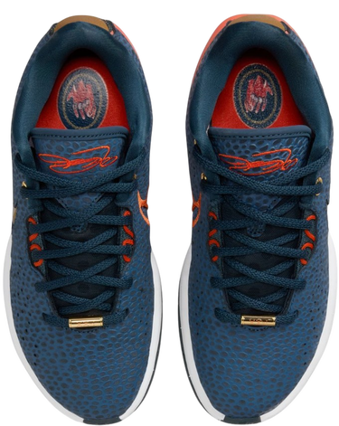 Tenisky a topánky Nike LEBRON XXI SE (GS) Modrá | fv3606-400, 3