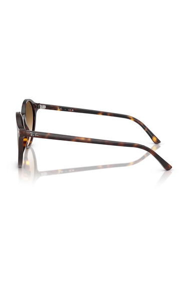 Slnečné okuliare Ray-Ban Ray-Ban Round Sunglasses RB2230 Hnedá | 0RB2230, 2