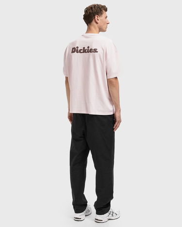 Tričko Dickies Slayden Graphic T-Shirt Ružová | DK0A87QRK731, 2